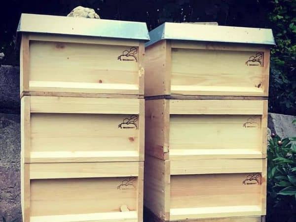 Das Foto zeigt Brennstempelabdrücke auf mehreren Bienenkästen bzw. Bienenbeuten.