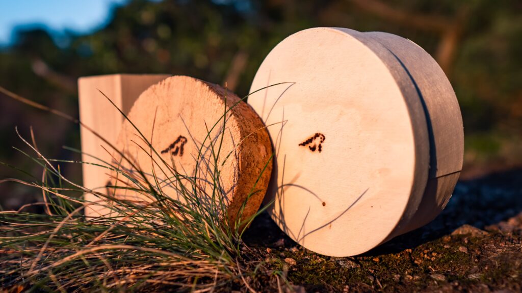 Holz-Stiftbehälter, runde Korkplatte und runde Holzkiste, jeweils mit Dinosauerier Brandzeichen