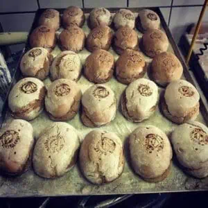 Das Foto zeigt frish gebackene Burger-Brötchen mit Brotstempelungen.